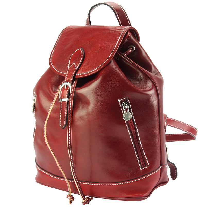 Luminosa GM Leather Backpack-12